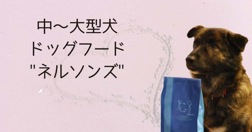ネルソンズドッグフード 5kg×2袋 間に合っ