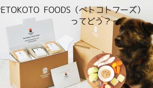 国産手作りドッグフード【PETOKOTO FOODS（ペトコトフーズ）】の評判や値段などをご紹介