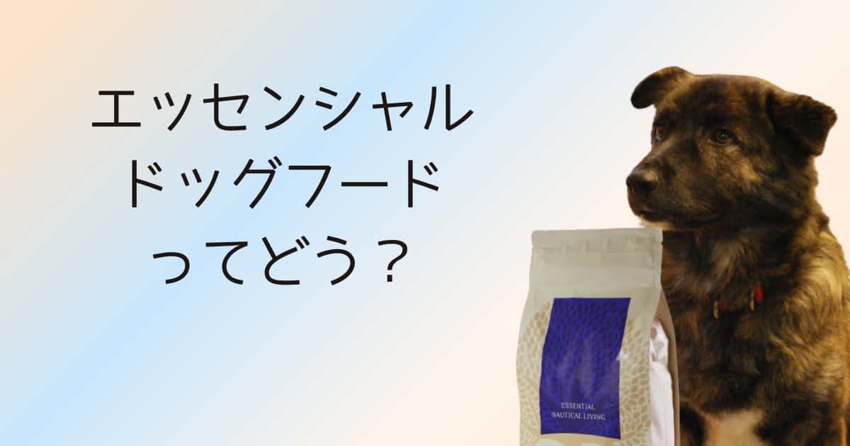 夏のドッグフードはお魚系がおすすめ！魚介類77%以上の